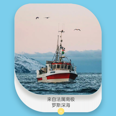 天佳名师法国深海银鳕鱼