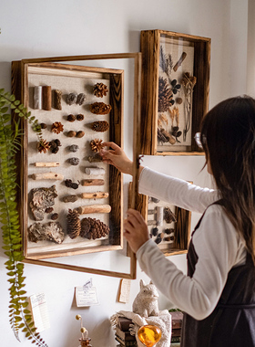 实木标本相框立体墙面装饰摆件