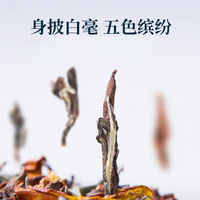 【郑福星茶业】东方美人茶台湾茶乌龙茶蜜香20g