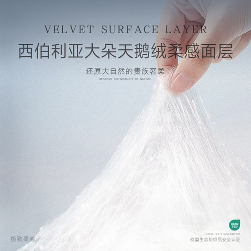 2提BBG白天鹅高端婴儿纸尿裤拉拉裤学步裤婴儿奢柔亲肤透气尿不湿 - 图0