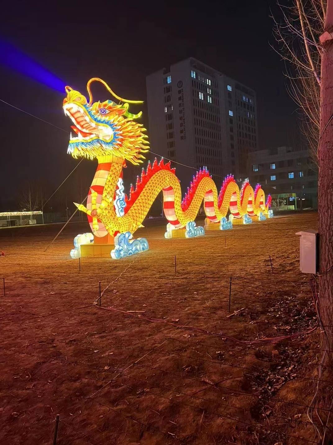 户外大型花灯节日造型春节元宵节灯会龙年花灯笼定制中秋国庆花灯 - 图1