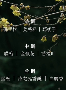春风十里独放香水小样