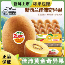 New Zealand Jiapai gold fruit zespri gold chic exotic fruits Pregnant Women Fruits Imported Yellow Heart Macaque Great Fruits
