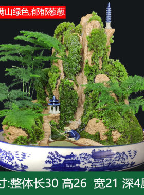 静林流水假山盆景吸水奇石小上水造景石头摆件原天然植物山水绿植