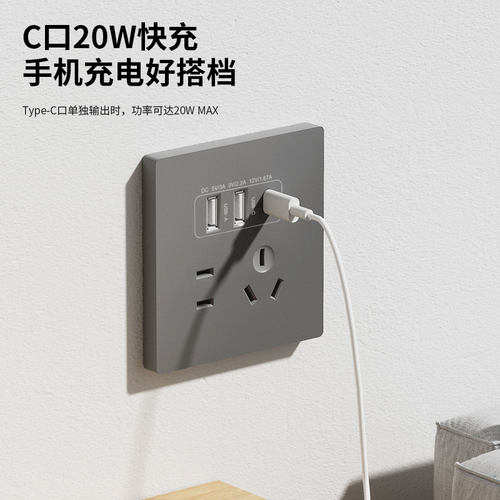 国际电工86型20W快充USB插座开关面板墙壁手机充电Type-c家用五孔 - 图0
