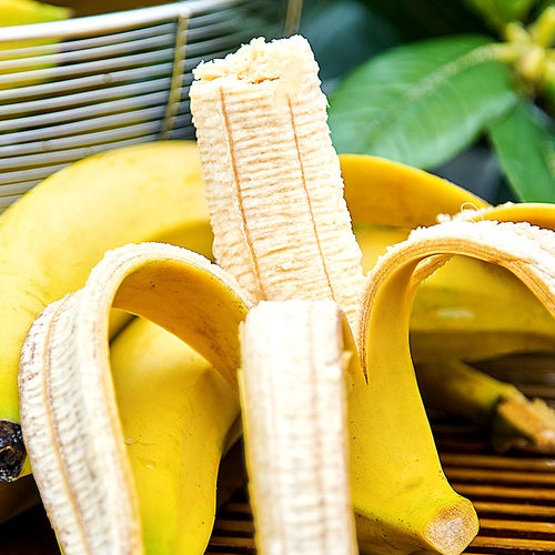 香蕉苗树苗矮化蕉威廉斯B6高产中蕉9号香蕉南方果树苗带土带叶 - 图1