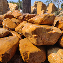 Pure natural raw stone small yellow wax stone-made landscaped garden boutique yellow raishi cobblestone false mountain pool walled-edge styling