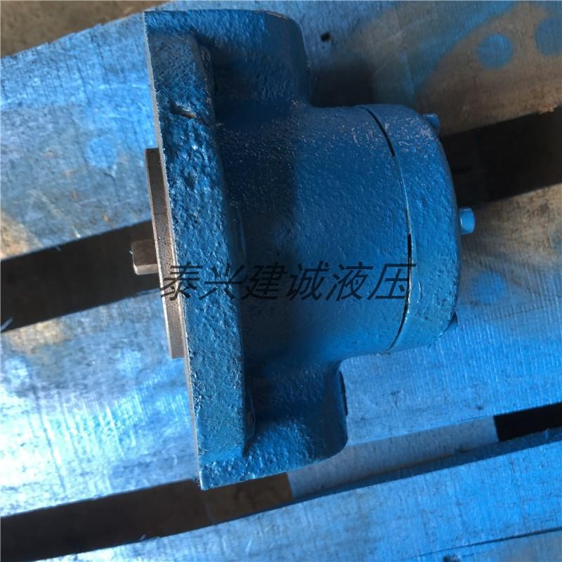 2KNB-4A 8A 12.5A可逆式摆线齿轮油泵TOP-2RA-4C 8C 12C-VF双向泵 - 图1