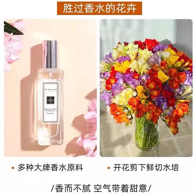 香雪兰种球四季好养活开花大球进口重瓣小苍兰种球混色盆栽带花苞,淘宝优惠券,粉丝福利购,淘宝优惠卷