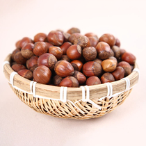 2023新鲜大榛子东北特产铁岭开原野生薄皮臻子炒熟原味干果坚果仁