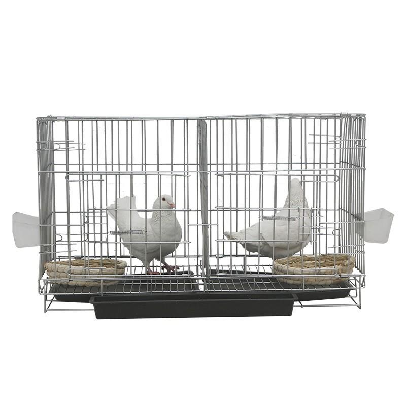鸽子笼养殖笼家用大号特大繁殖配对鸽子笼大型不锈钢色鸽子笼鸟笼-图2