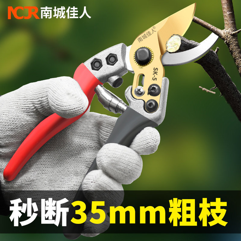 粗枝修枝剪园艺剪刀园林修剪果树修枝专用剪刀花艺花枝修花剪省力_虎窝淘