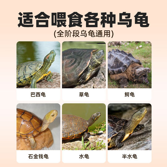 龟粮乌龟小鱼干饲料淡水小鱼干虾干巴西龟磷虾通用鳖食物喂龟猫咪