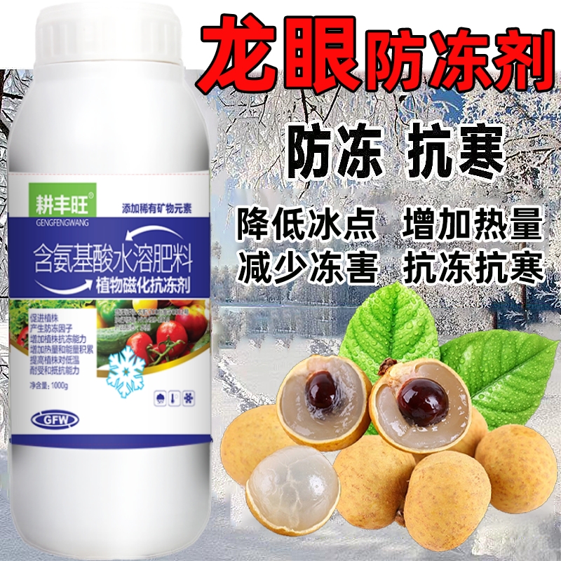 龙眼防冻剂龙眼防寒抗冻剂龙眼用药叶面肥解冻害抗低温龙眼防冻液-图0