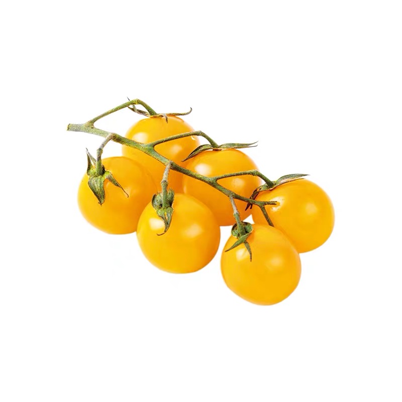 黄色金圣女果夏日阳光樱桃小番茄新鲜水果酸甜小西红柿千禧包邮-图3