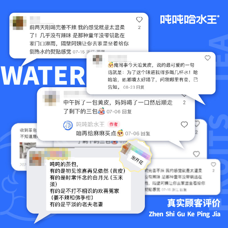 [88vip专属]吨吨哈水王all in多口味冷泡花果袋泡茶包喝水无添糖