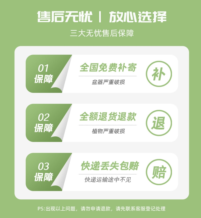 发财树盆栽室内植物客厅吸甲醛好养小盆景四季常青办公室花卉绿植_海南花拍花卉绿植企业店_鲜花速递/花卉仿真/绿植园艺-第4张图片-提都小院