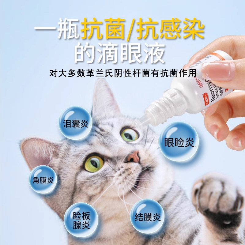 硫酸新霉素滴眼液宠物狗狗猫眼药水消炎猫鼻支结角膜炎泪痕去眼屎,淘宝优惠券,粉丝福利购,淘宝优惠卷