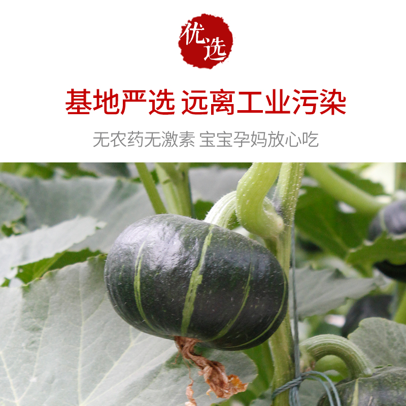 【蜜蜂心愿社】山东贝贝南瓜板栗味小南瓜4.5斤粉糯香甜宝宝辅食-图0