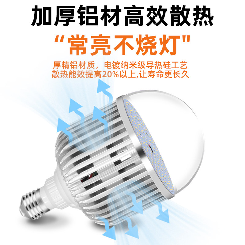 2026年生鲜灯新款全光谱水果蔬菜新国标卤肉熟食市场鲜肉专用灯泡,淘宝优惠券,粉丝福利购,淘宝优惠卷