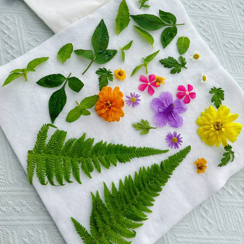 拓印植物敲拓染鲜花手工新鲜绿植花草材料diy帆布袋方巾书签押花 - 图3