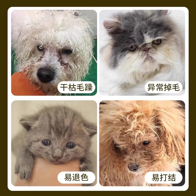 防猫掉毛神器严重脱毛专用药猫咪狗狗专用宠物免洗护毛素精油鱼油 - 图0