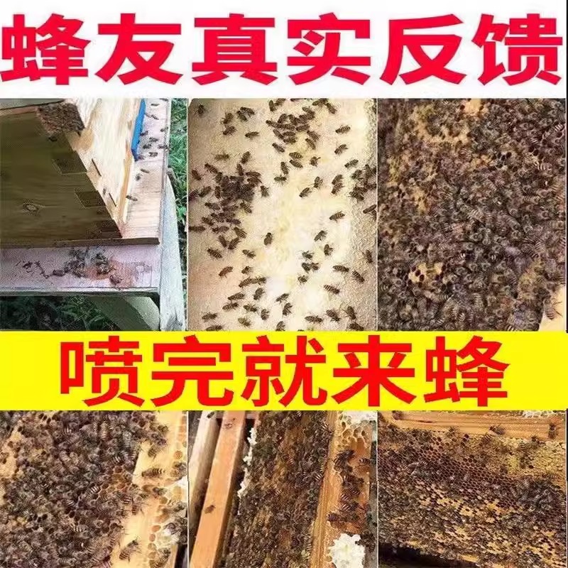 诱蜂膏神器野外神奇诱蜂水招蜂王中蜂土蜂专用新手分蜂群引诱蜂水-图2