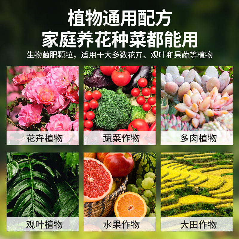 SOILLAND大柿园艺微生物菌肥有机农家肥料菌肥发酵养花通用活力素 - 图2