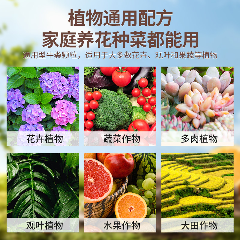 SOILLAND大柿园艺牛粪专用肥蔬菜颗粒肥花肥家用养花种菜改良板结 - 图3