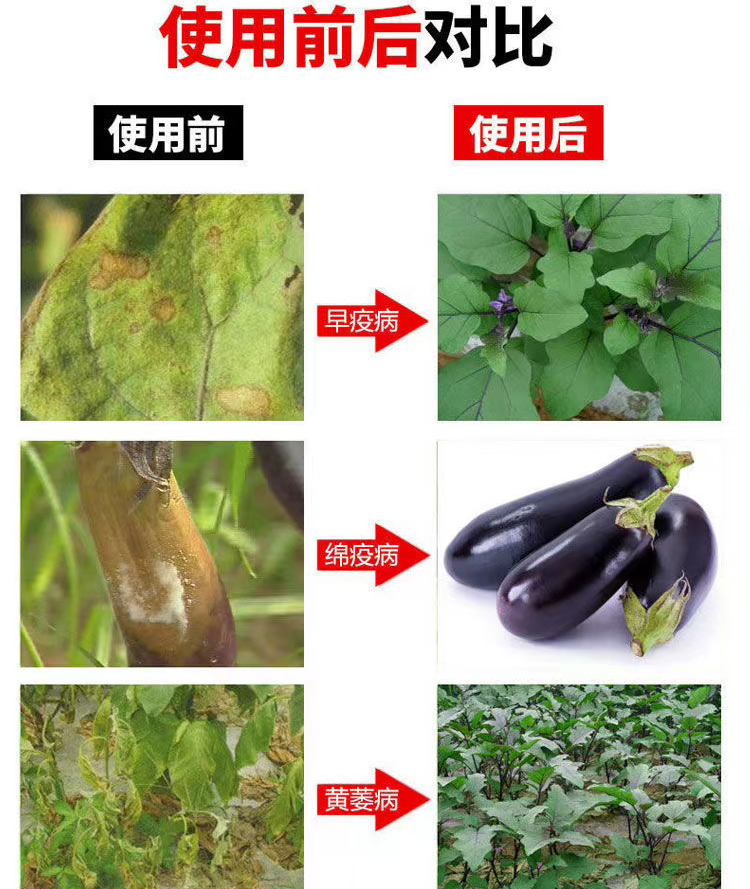 茄子专用药茄子黄萎病炭疽病疫病灰霉病根腐病枯萎病防治专用套餐-图1