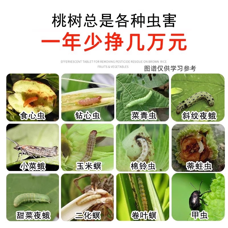 桃树专用药杀虫剂高氯甲维盐桃子树食心虫钻心蚧壳虫果树农药大全 - 图1