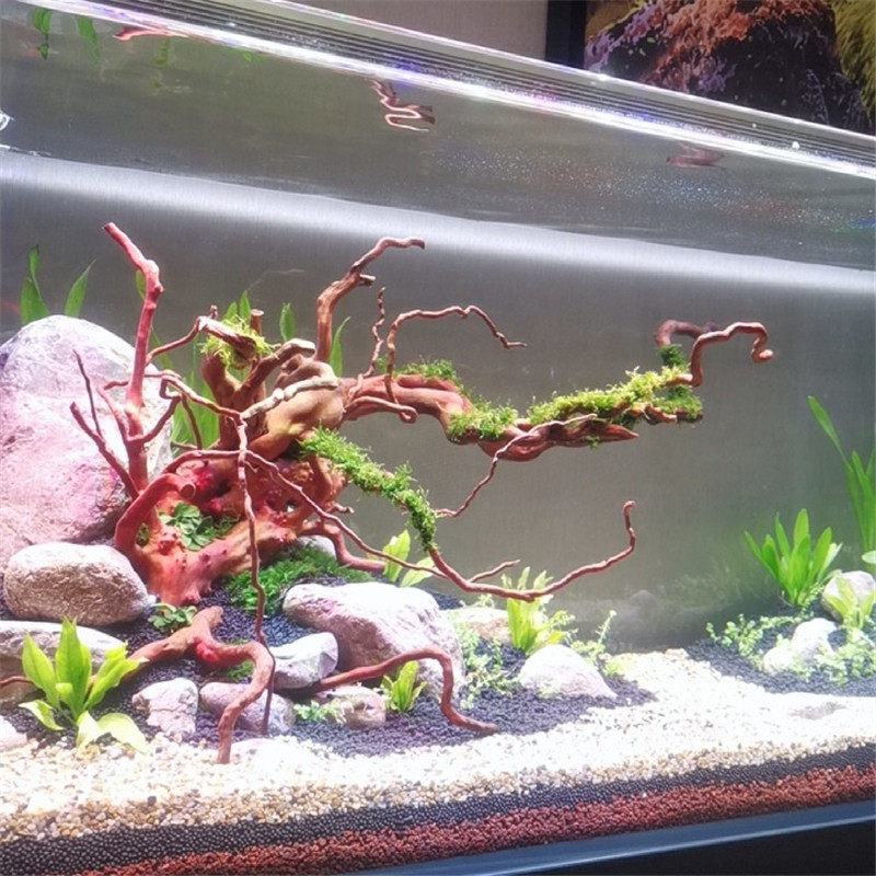 速发饰鹃根已煮 沉品精木成品树形枝条 水族鱼缸造景摆件装杜品,淘宝优惠券,粉丝福利购,淘宝优惠卷