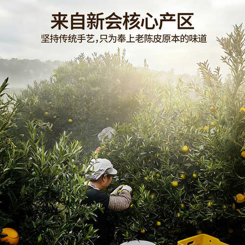 【新会直发】广东新会真实年份老陈皮中药材官方旗舰店正品泡茶喝 - 图0