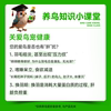 Bird Parrot Liver Essence Detoxification Nourishing Liver and Liver Protective Nutritional Solution