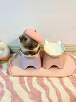 Cat-hat-hat-ins wind spring and summer autumn winter style kittens berets Puppy pets photographed heads decorated with decorative props