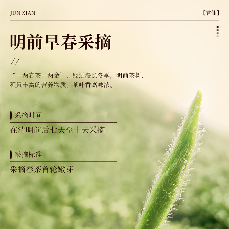 君山银针黄茶明前嫩芽黄芽茶叶2024新茶春茶岳阳黄茶60g罐装-图0