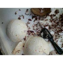 Cut Coconut Leather Machine Old Coconut Coconut Palm Peel Scraping Leather deplanter planter to the coconut leather tool to open the coconut special