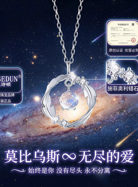 【送礼推荐】莫比乌斯纯银项链女