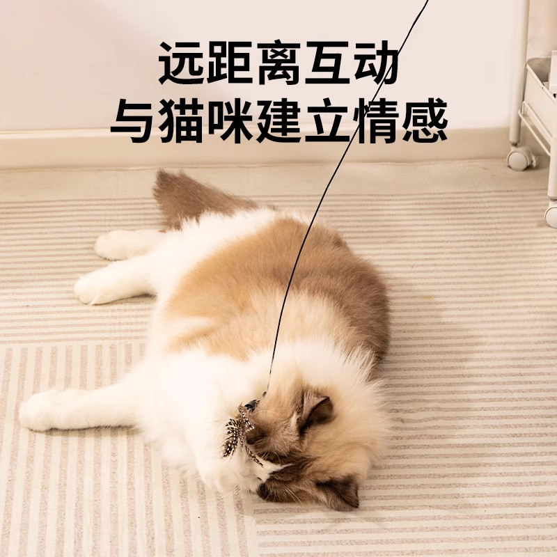 CFA赛级逗猫棒长杆猫玩具自嗨解闷神器幼猫小猫咪逗猫羽毛替换头,淘宝优惠券,粉丝福利购,淘宝优惠卷