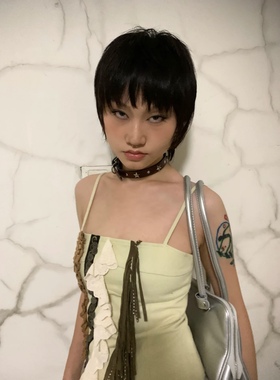 美拉德星星pu彩色皮革项圈