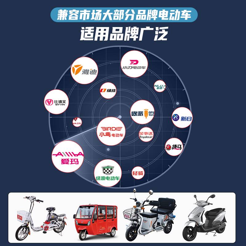 绿源两孔新国标电动车电瓶充电器专用接口48V12A60V20AH72V32A - 图1