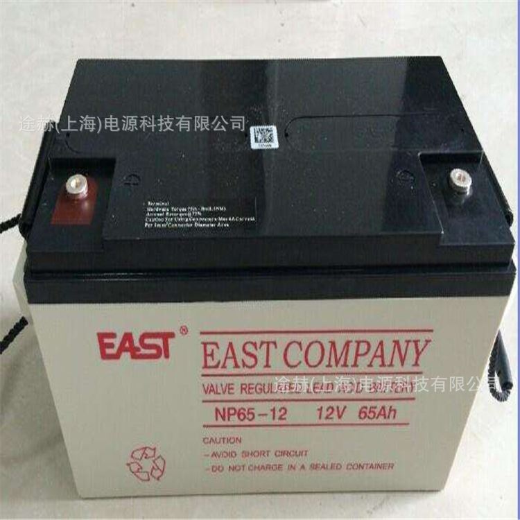 EASTNP65-12 12V65AH铅酸免维护阀控式UPS/EPS电源蓄电池 - 图0