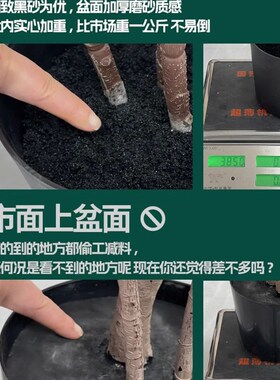 新品仿真绿植橡皮树客厅盆栽室内仿生假植物轻奢高U端绿植落地装