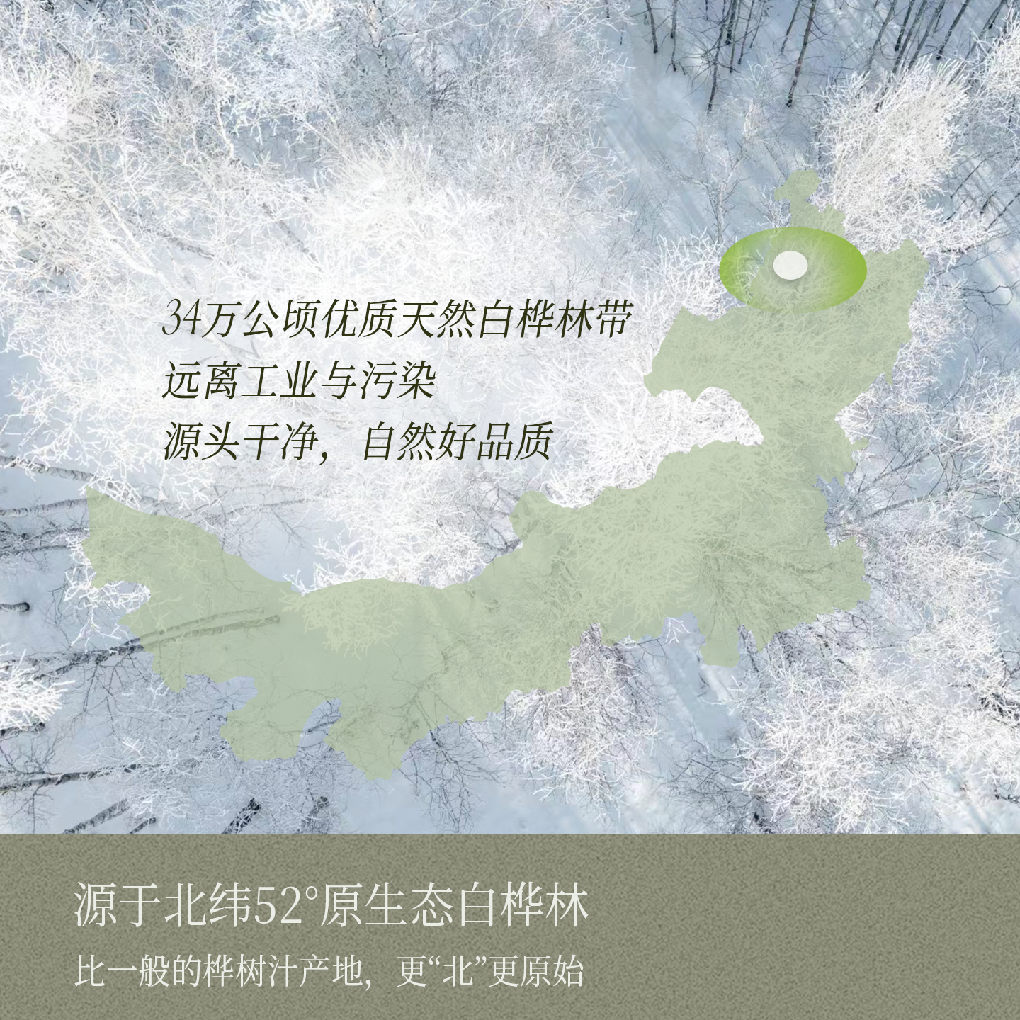 北方神桦白桦树汁饮料原味0蔗糖白桦树饮品健康植物饮料280ml
