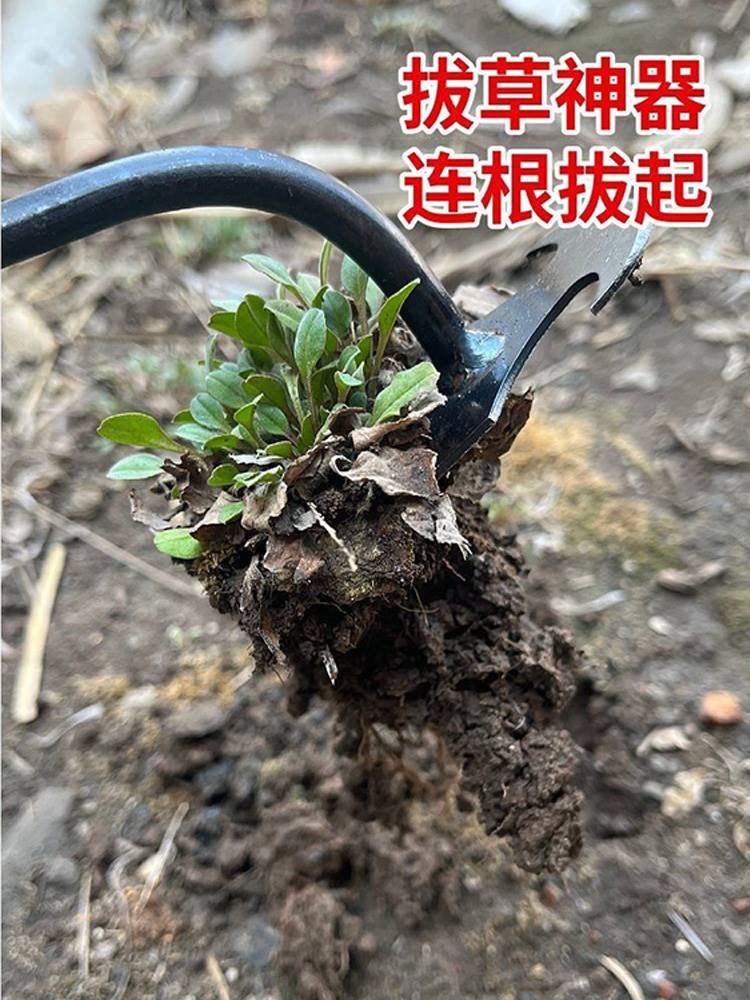 新款除草利器连根拔草工具园艺耙子拔草锰钢小号手握式松土挖野菜 - 图1