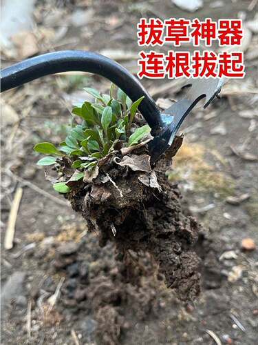 新款除草利器连根拔草工具园艺耙子拔草锰钢小号手握式松土挖野菜 - 图1