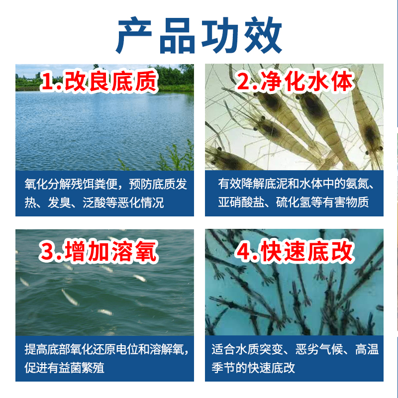 双改先锋双效改底王水产养殖鱼虾蟹塘氧化生物底改除臭净水质改良 - 图2