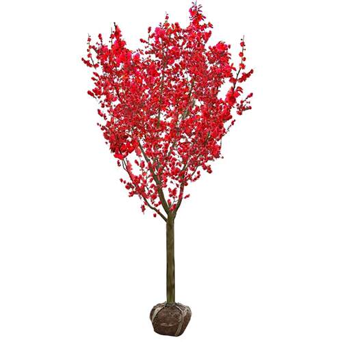 耐寒红梅花树苗庭院地栽浓香型四季花卉植物骨里红梅腊梅绿梅室外 - 图3