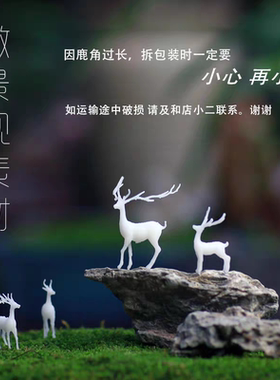 微景观水陆缸苔藓摆件微缩模型动物仙鹿盆景造景