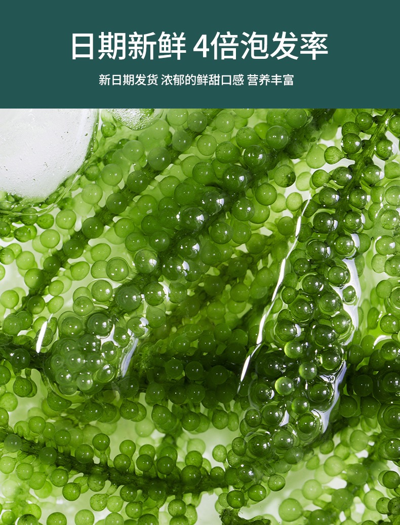 海葡萄新鲜即食盐渍海带新鲜海洋蔬菜绿色鱼子酱海藻菜送专用料汁-图1